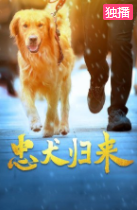 忠犬归来