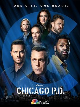 芝加哥警署第九季第19集