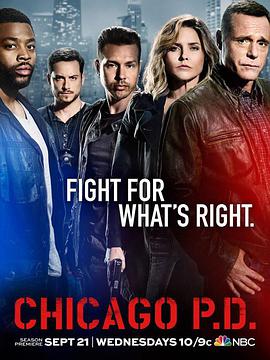 芝加哥警署第四季第18集